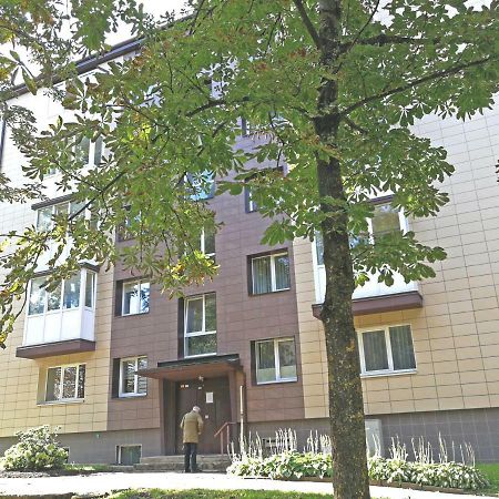 Siauliai Central Spot Apartment - Draugystes Pr. 외부 사진